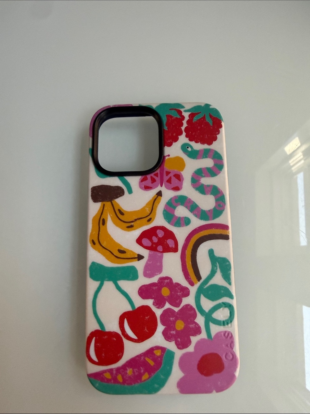 Decorative Fruit & Floral Phone Case in Pink, Red, Teal iPhone 16 pro max
